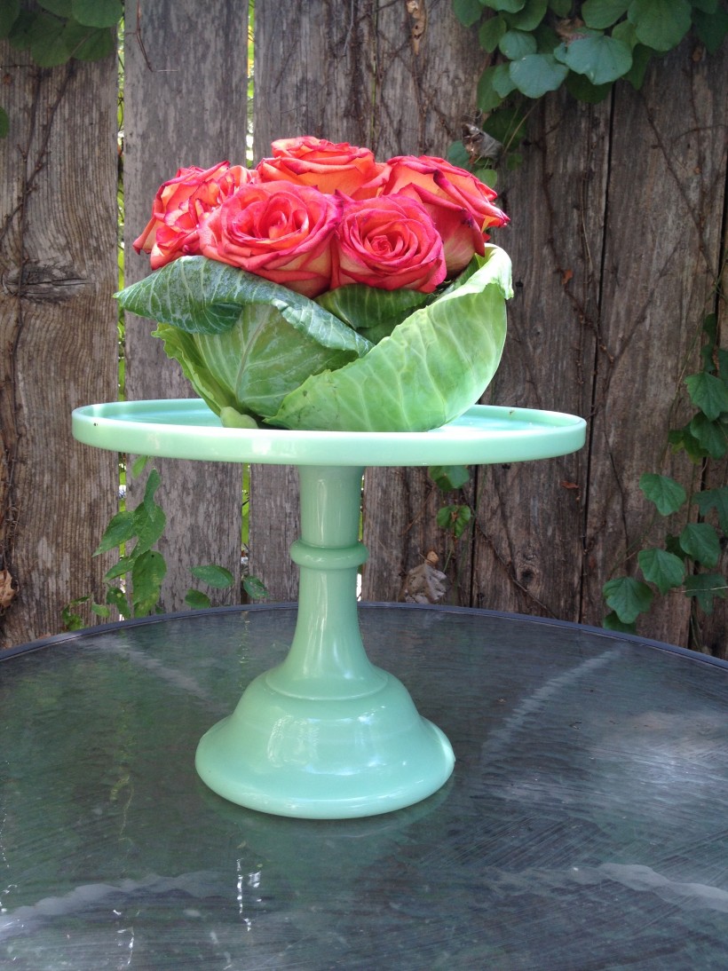 cabbage and roses