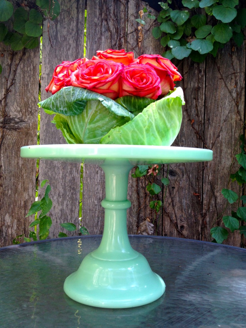 cabbage and roses enhanced