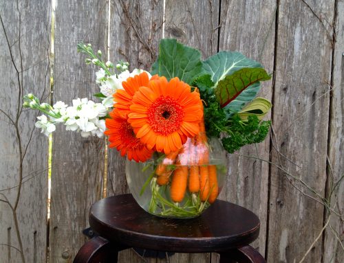 How to use Carrots in your flower arrangements