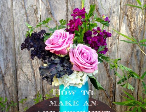 How To Make a Lovely Flower Arrangement for Under $20